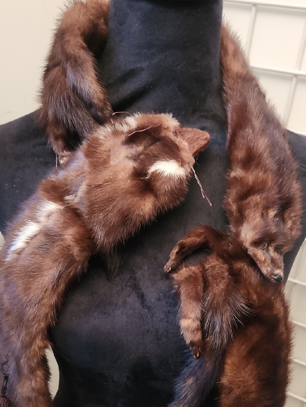 Vintage Fur Stole - Picture 2 of 5